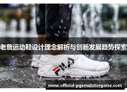 老詹运动鞋设计理念解析与创新发展趋势探索