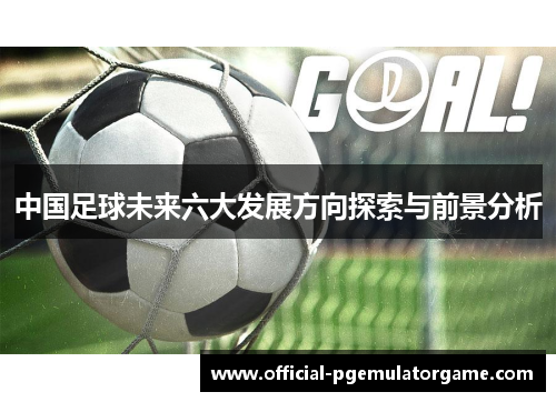中国足球未来六大发展方向探索与前景分析