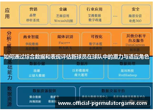 如何通过综合数据和表现评估新球员在球队中的潜力与适应角色
