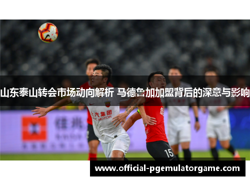 山东泰山转会市场动向解析 马德鲁加加盟背后的深意与影响 山东泰山转会市场动向解析 马德鲁加加盟背后的深意与影响