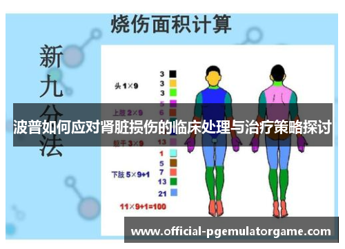 波普如何应对肾脏损伤的临床处理与治疗策略探讨 波普如何应对肾脏损伤的临床处理与治疗策略探讨