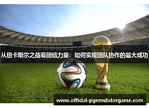 从纽卡斯尔之战看团结力量：如何实现团队协作的最大成功