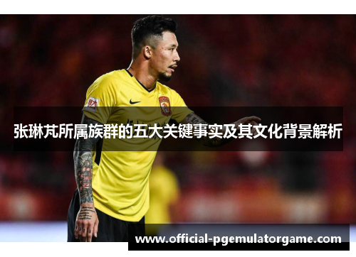 张琳芃所属族群的五大关键事实及其文化背景解析