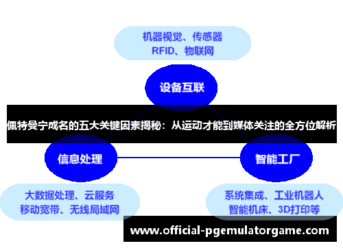 佩特曼宁成名的五大关键因素揭秘：从运动才能到媒体关注的全方位解析
