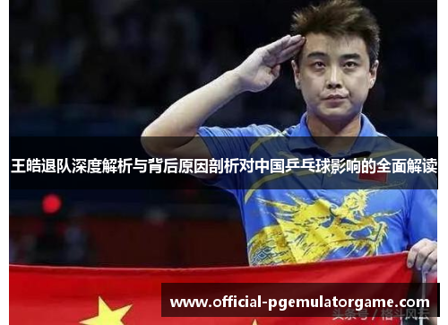 王皓退队深度解析与背后原因剖析对中国乒乓球影响的全面解读