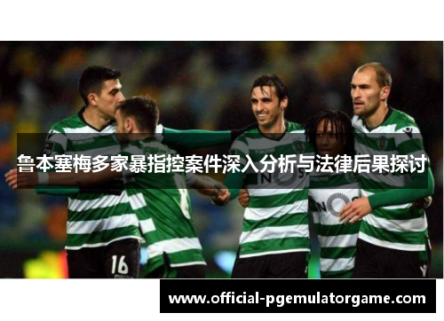 鲁本塞梅多家暴指控案件深入分析与法律后果探讨