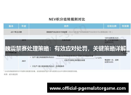 魏震禁赛处理策略：有效应对处罚，关键策略详解