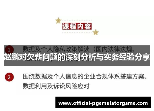 赵鹏对欠薪问题的深刻分析与实务经验分享