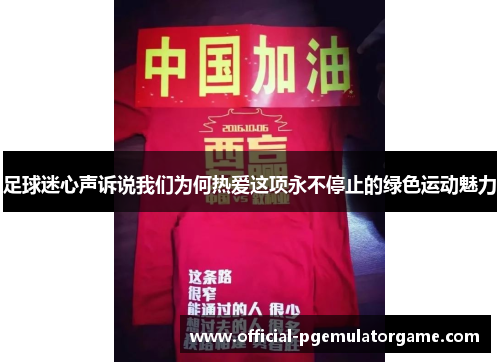 足球迷心声诉说我们为何热爱这项永不停止的绿色运动魅力