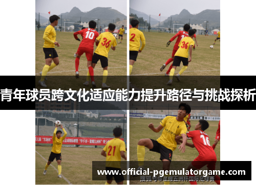 青年球员跨文化适应能力提升路径与挑战探析 青年球员跨文化适应能力提升路径与挑战探析